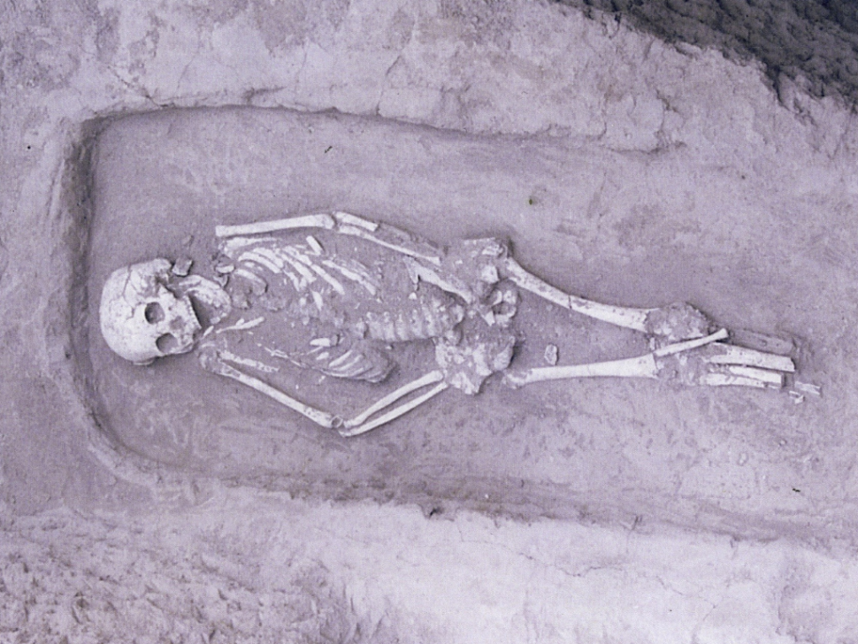 Археологические раскопы скелеты.